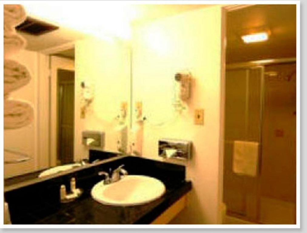 Econo Lodge Inn & Suites Yuma I-8 Room photo